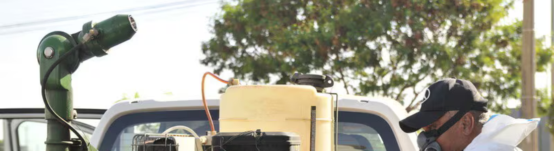 Dedetizadora 24 Horas em Tatuapé 24 HORAS